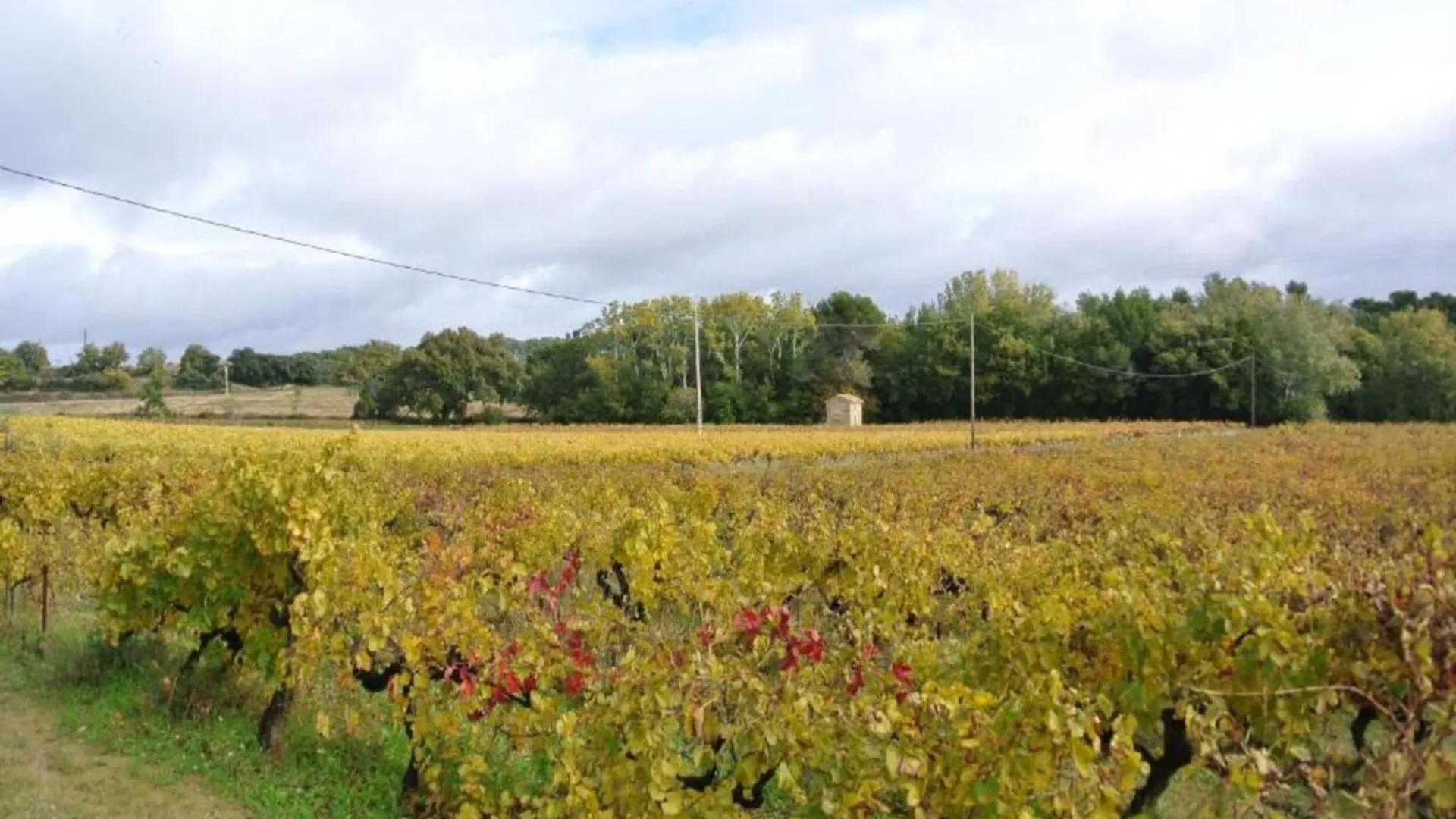 Appartamento Holiday Home In Avignon Next To The City Centre