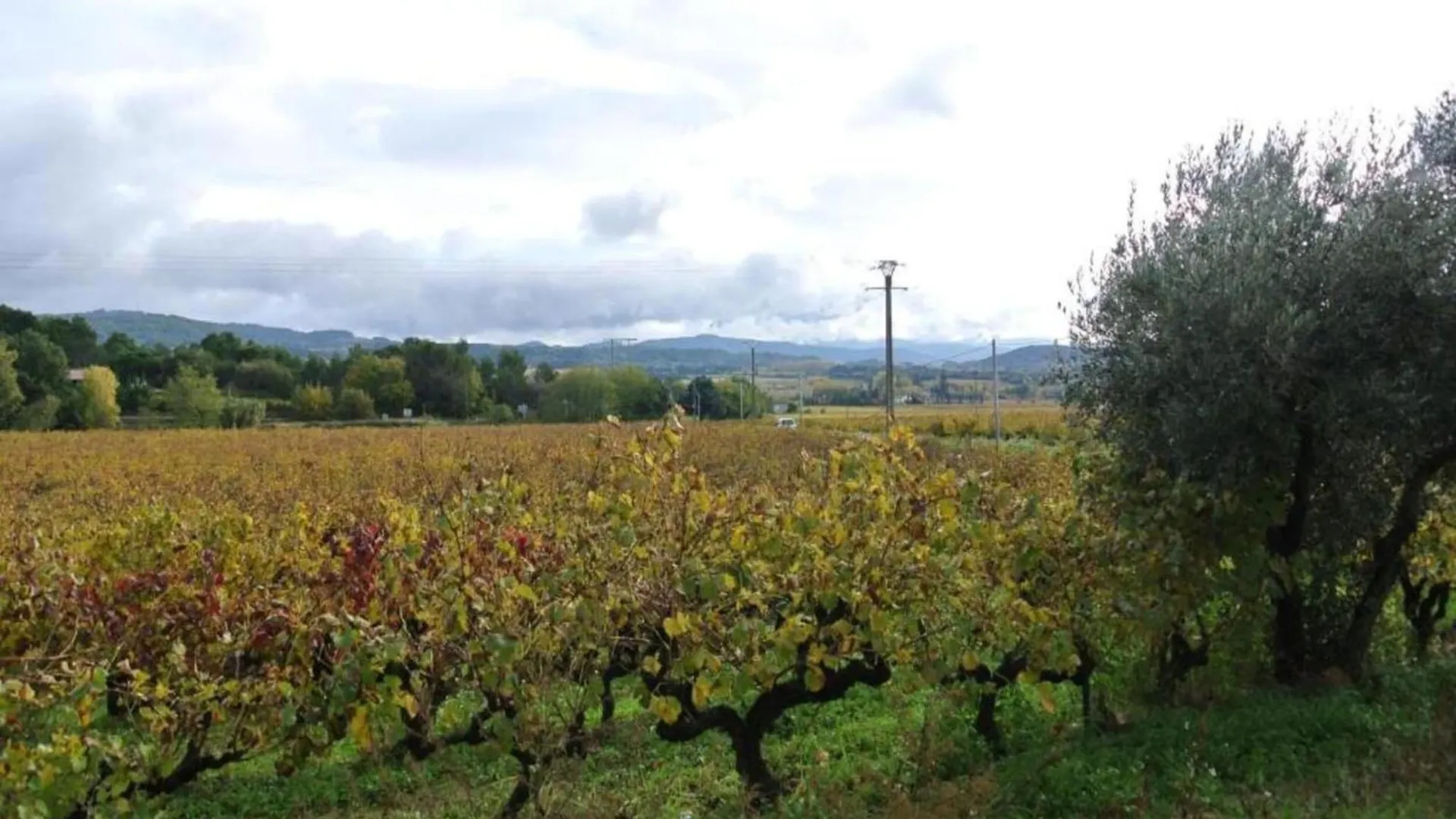 Appartamento Holiday Home In Avignon Next To The City Centre Francia